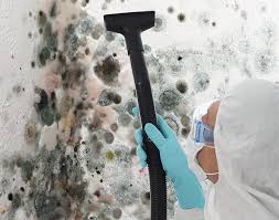 Ancient Oaks, PA Mold Removal Company